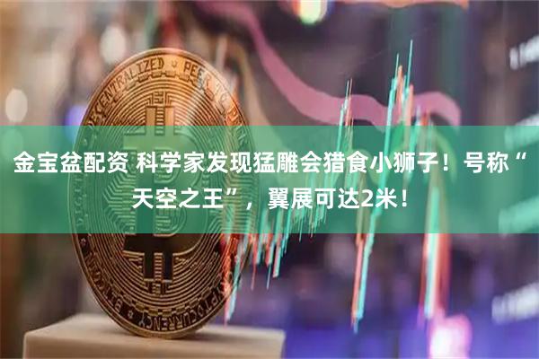 金宝盆配资 科学家发现猛雕会猎食小狮子！号称“天空之王”，翼展可达2米！