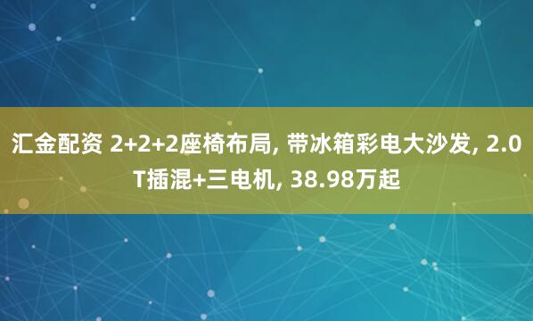 汇金配资 2+2+2座椅布局, 带冰箱彩电大沙发, 2.0T插混+三电机, 38.98万起