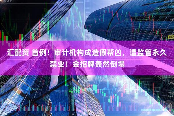 汇配资 首例！审计机构成造假帮凶，遭监管永久禁业！金招牌轰然倒塌